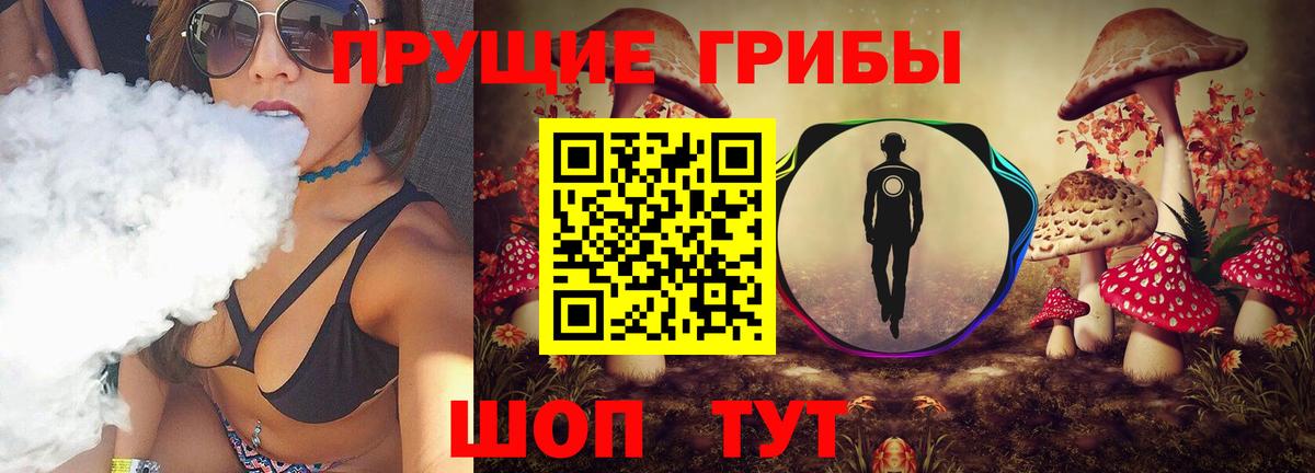 хочу наркоту  Вход с VPN  Борзя  Галлюциногенные грибы Cubensis 